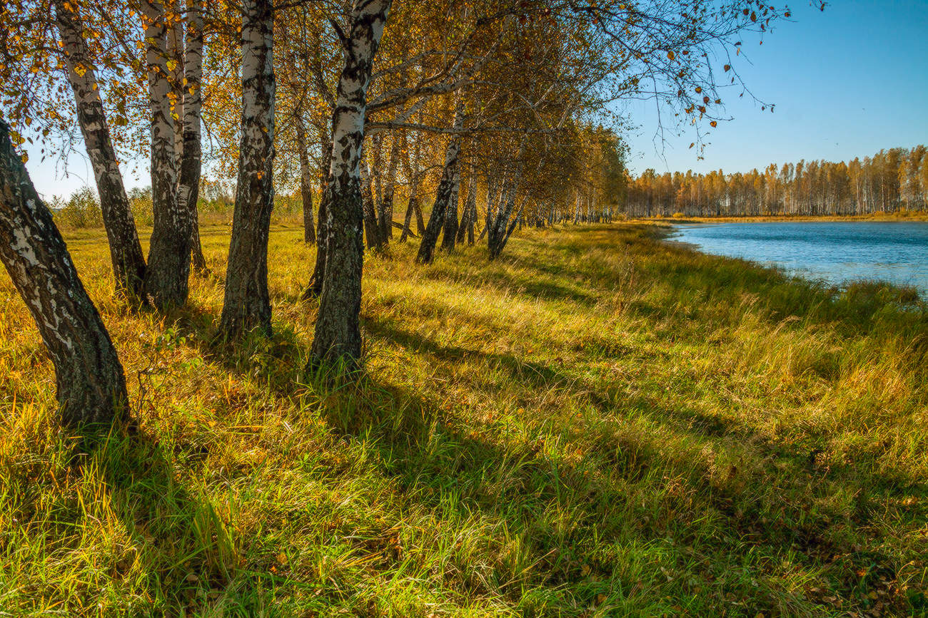 Осенняя пора