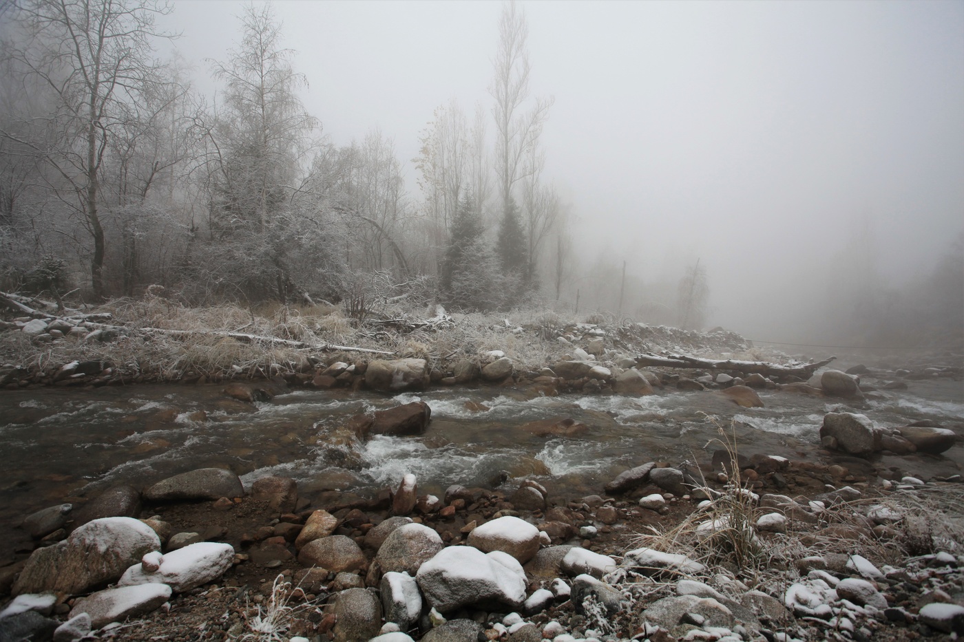 Обратный отчет...