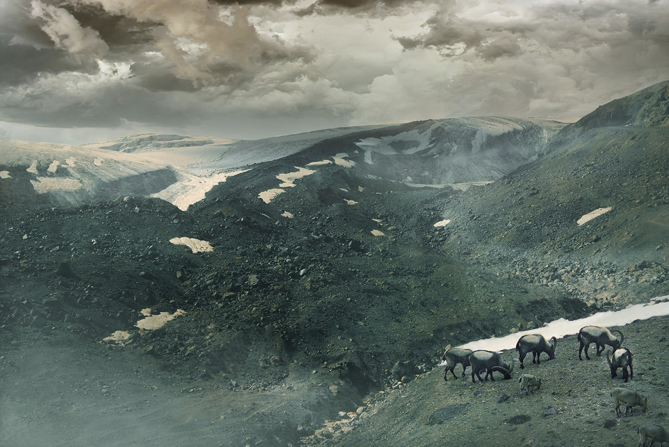 Про козликов