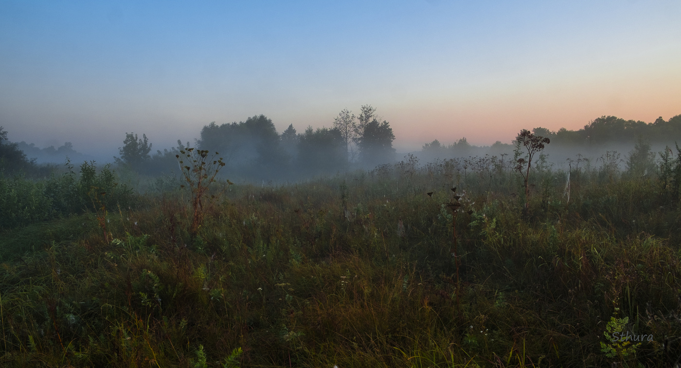 В лугу на рассвете.