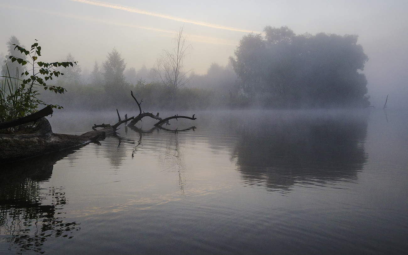 Летний пейзаж. Большие Байдики