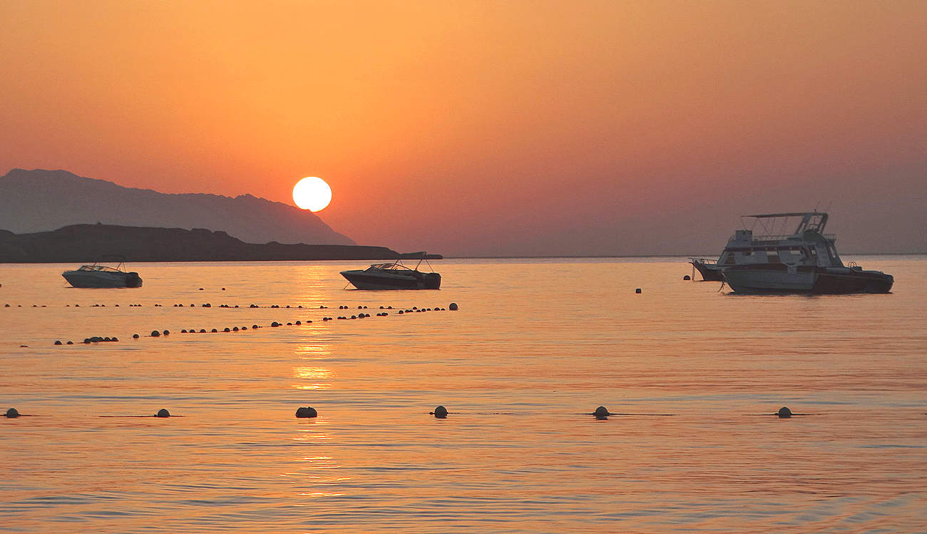 Катера спят ранним тихим утром