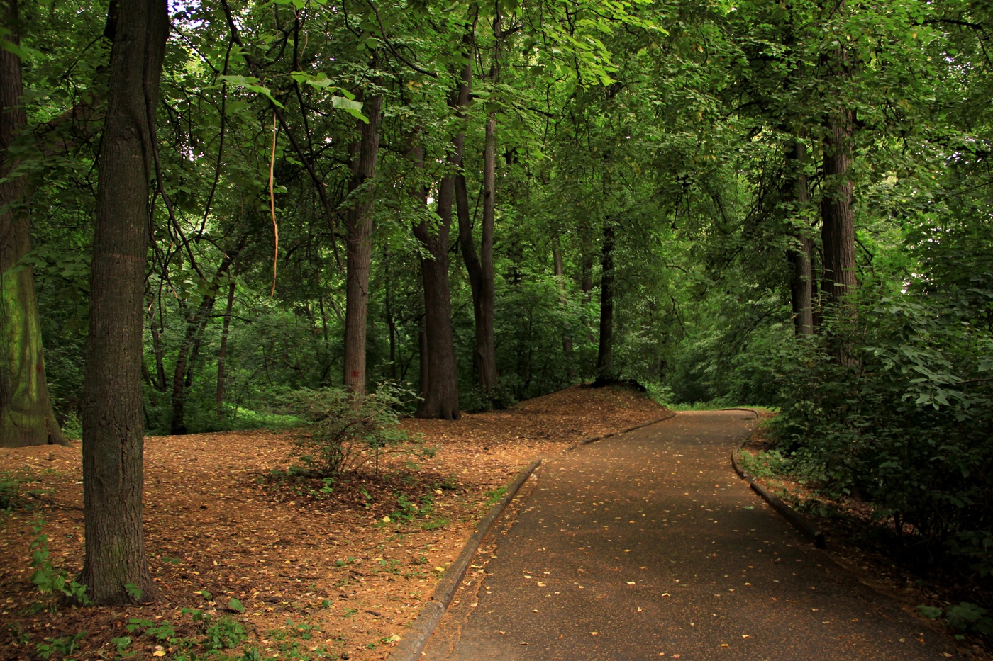 По дорожкам парка