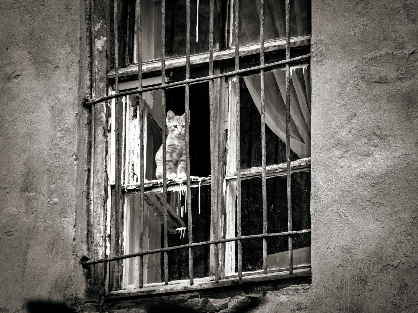 За решёткой