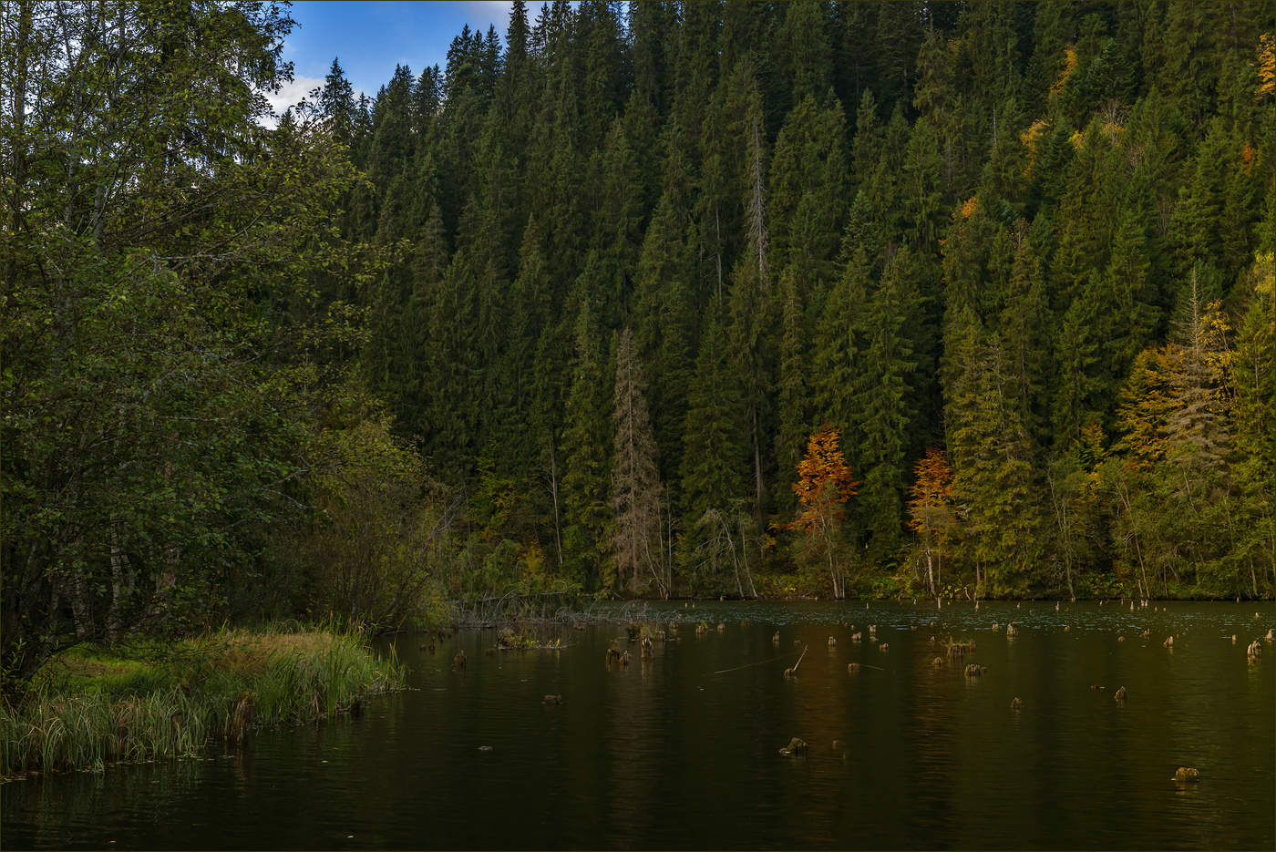 Осень в румынских Карпатах (5)