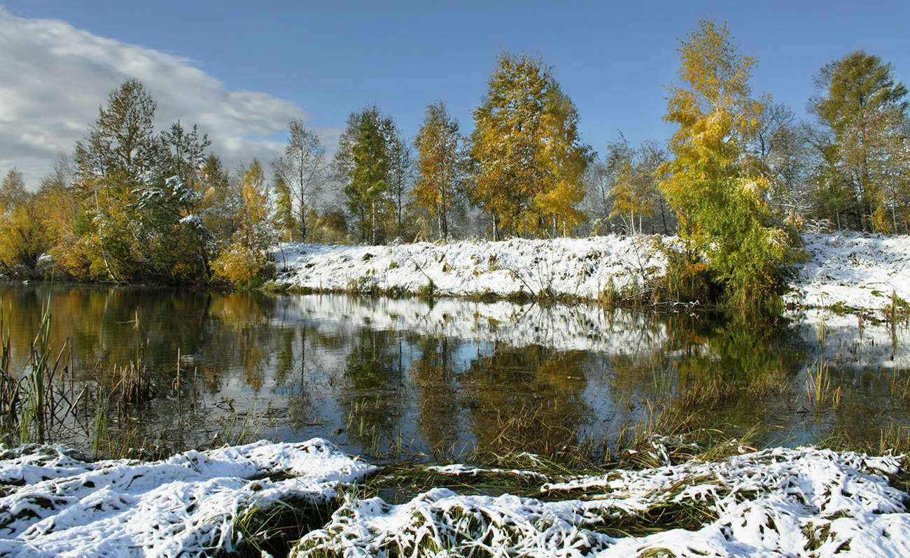 Зимняя осень