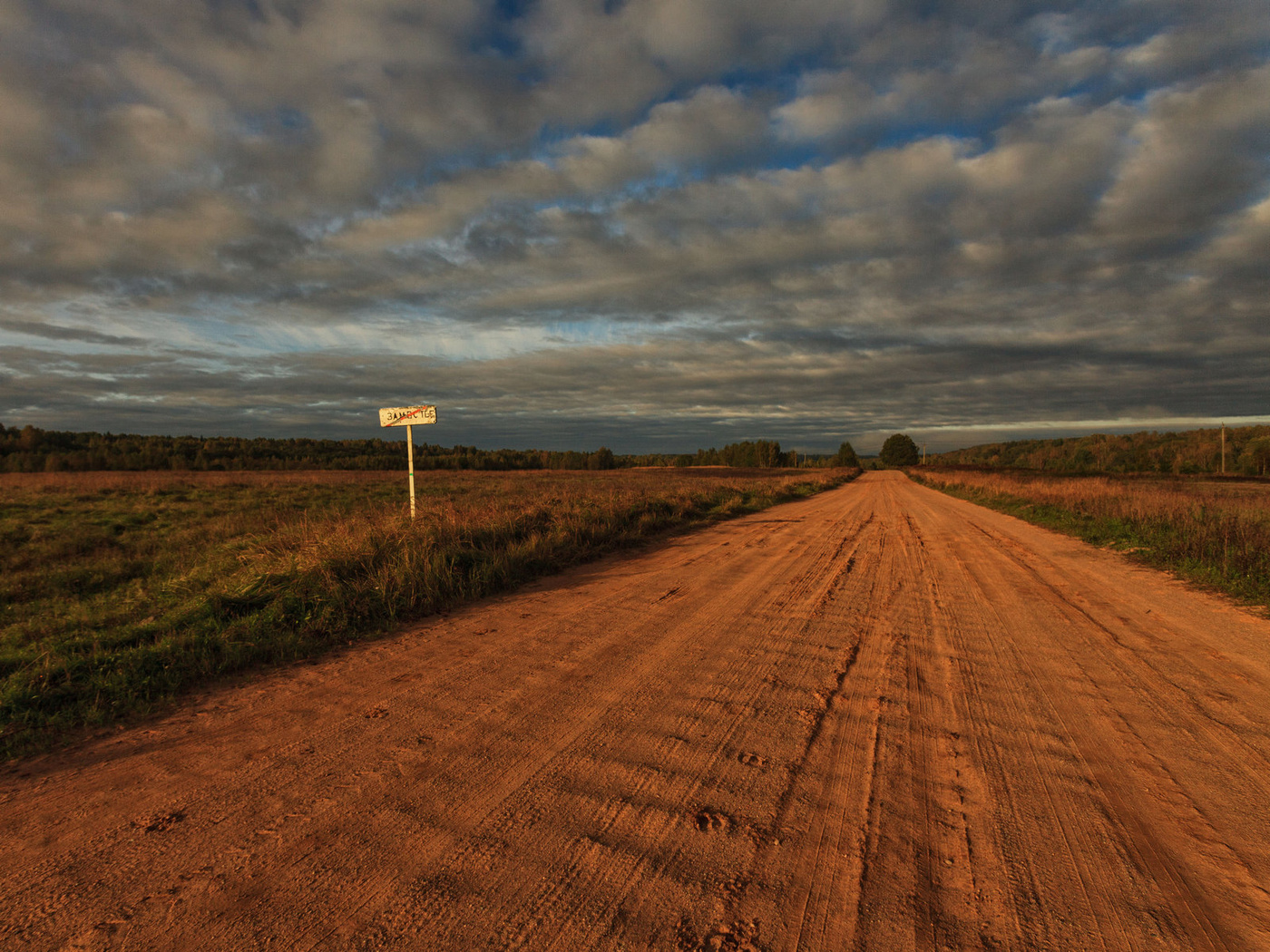 Жизнь вокруг