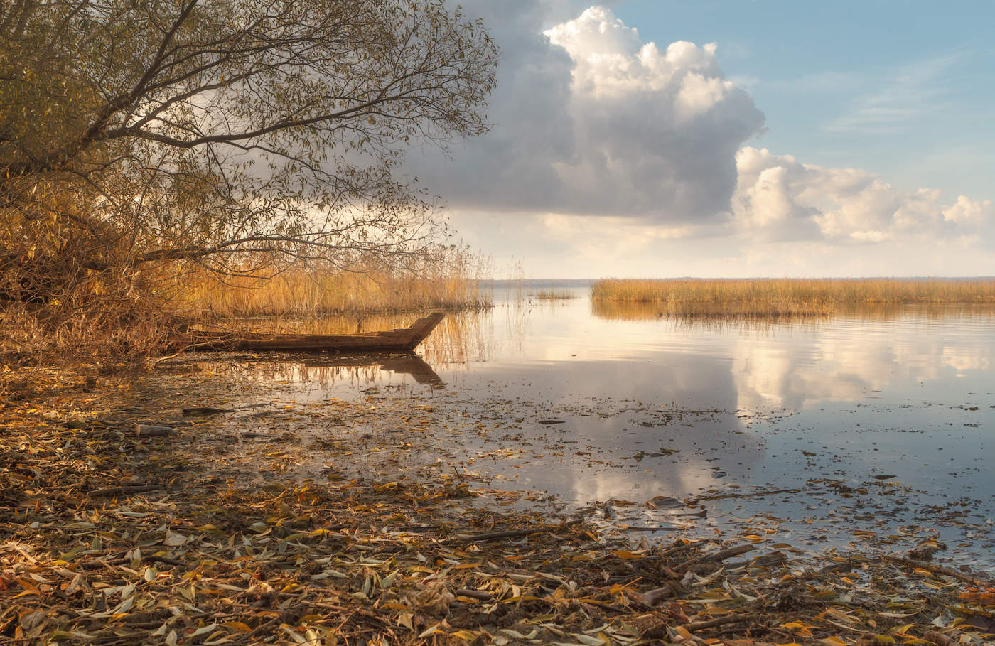 Последняя гавань