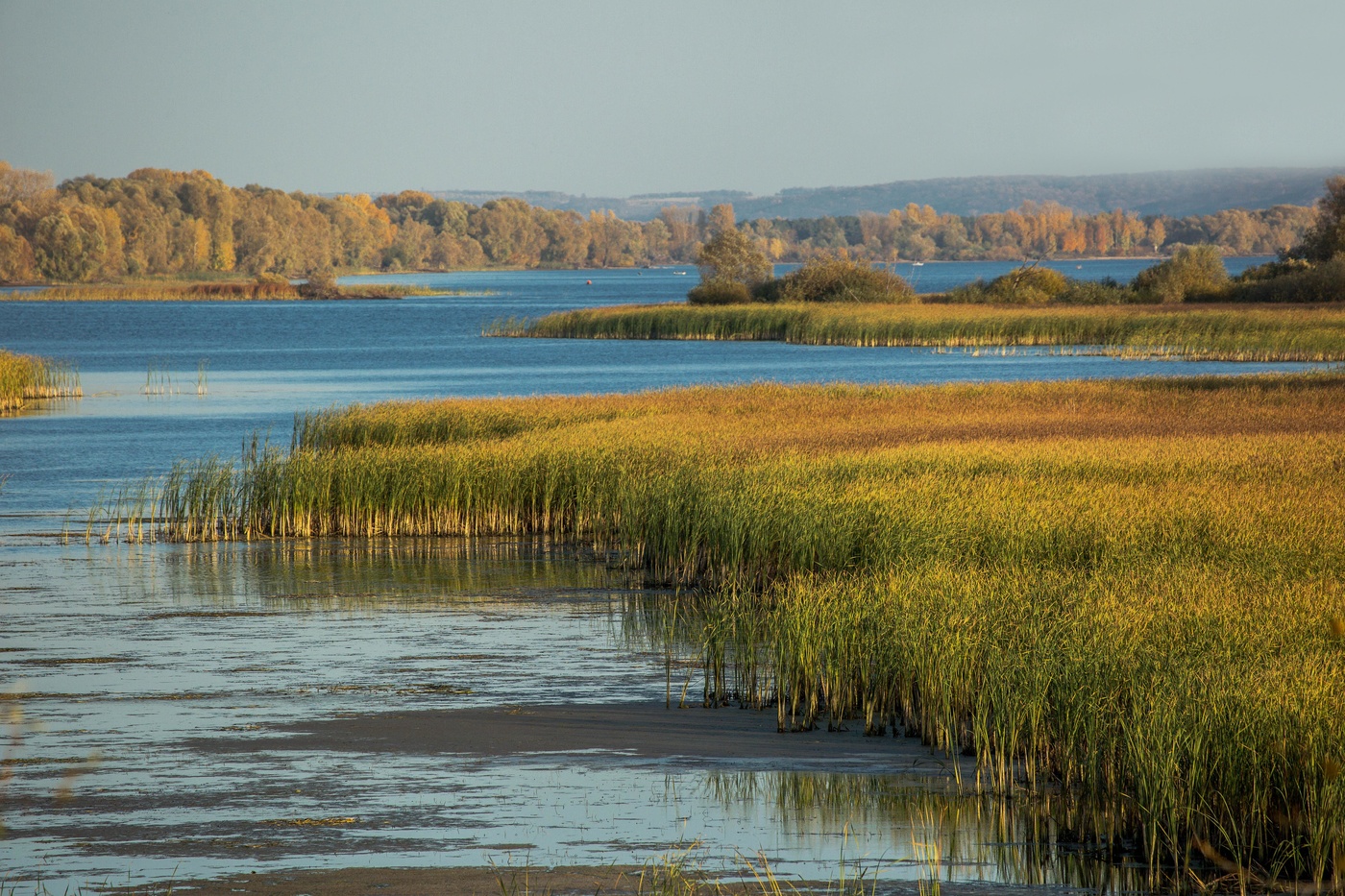 Волжские заливы
