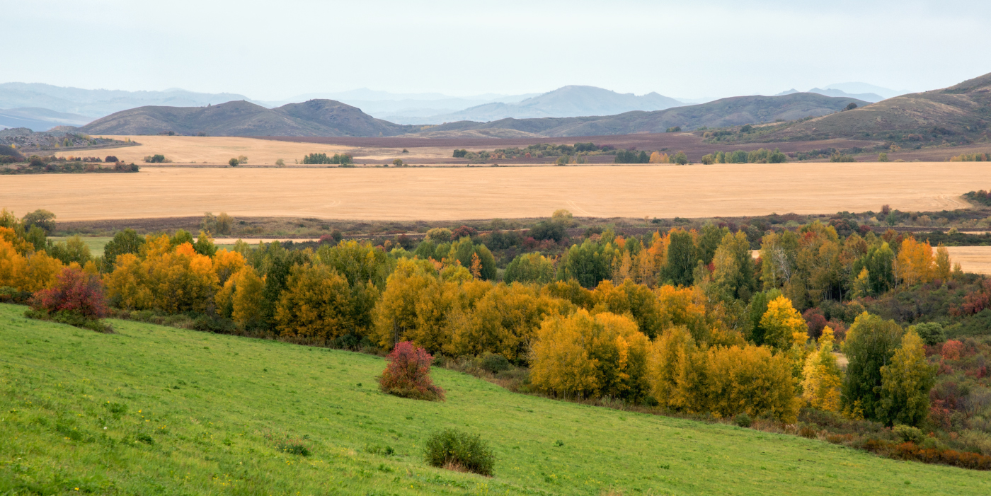 Осенний этюд