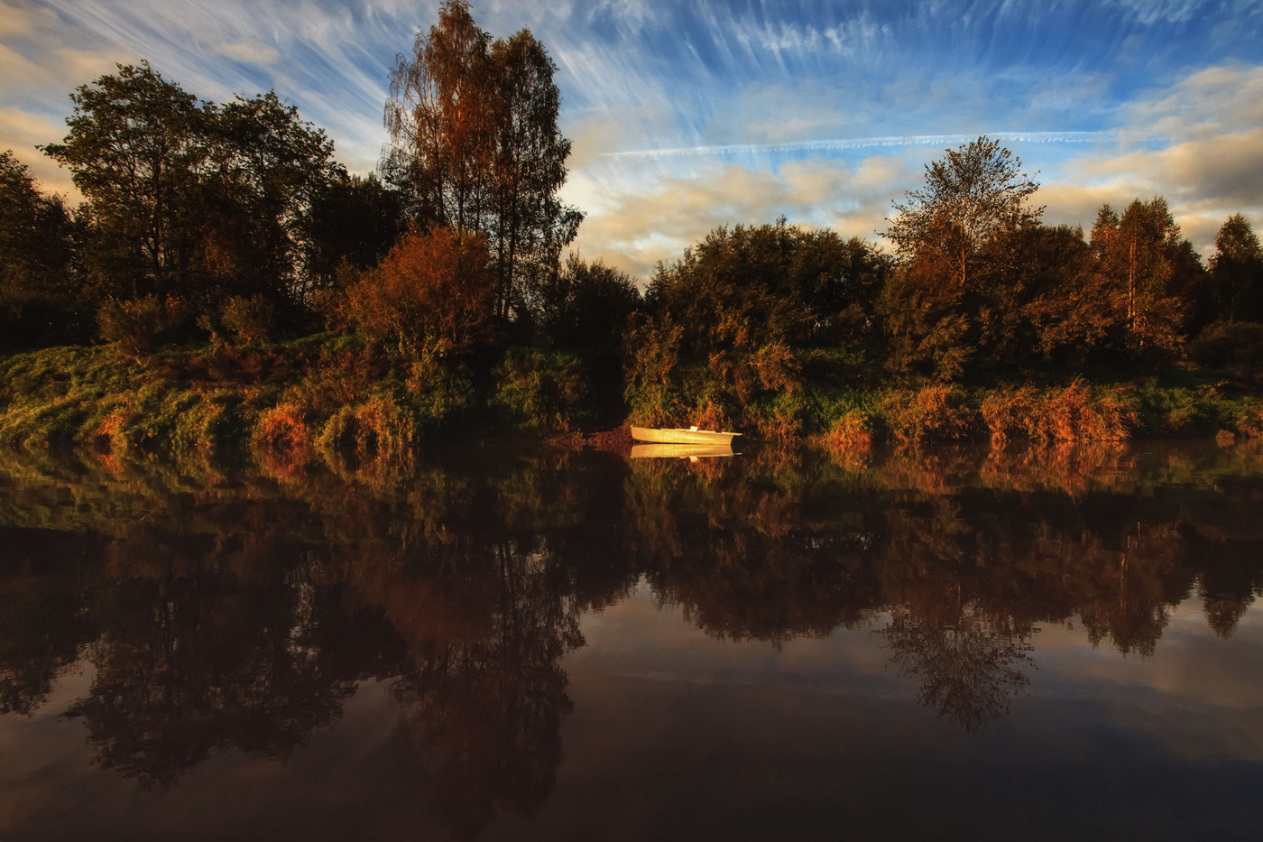 Жизнь вокруг