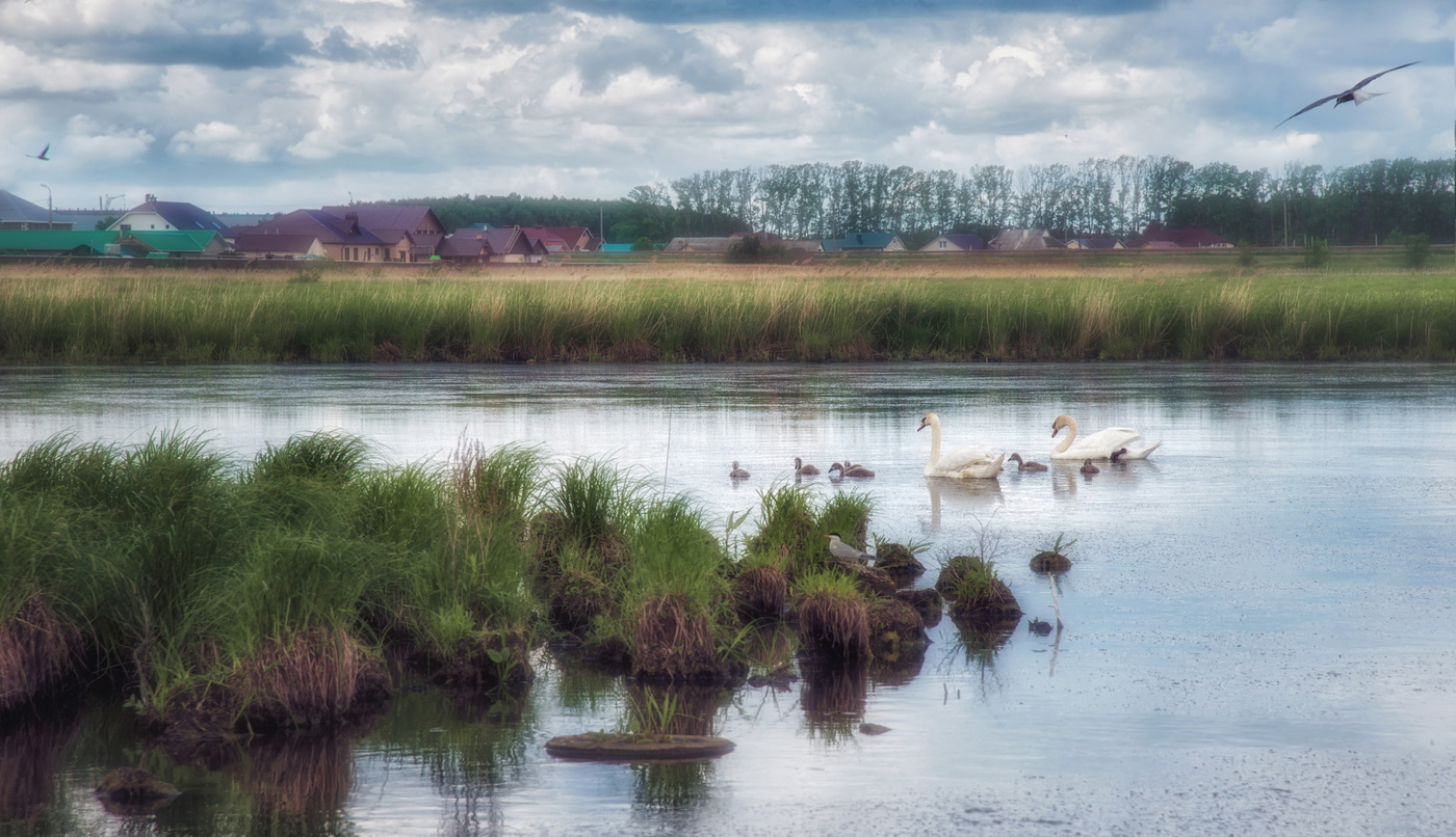 Вдоль да по речке...