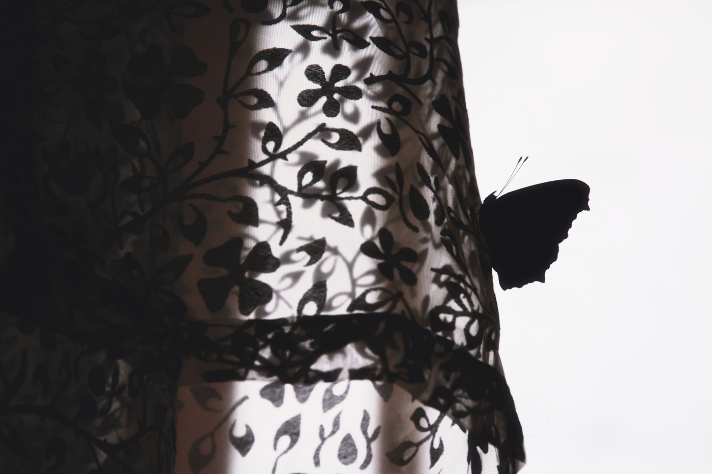 Жизнь вокруг