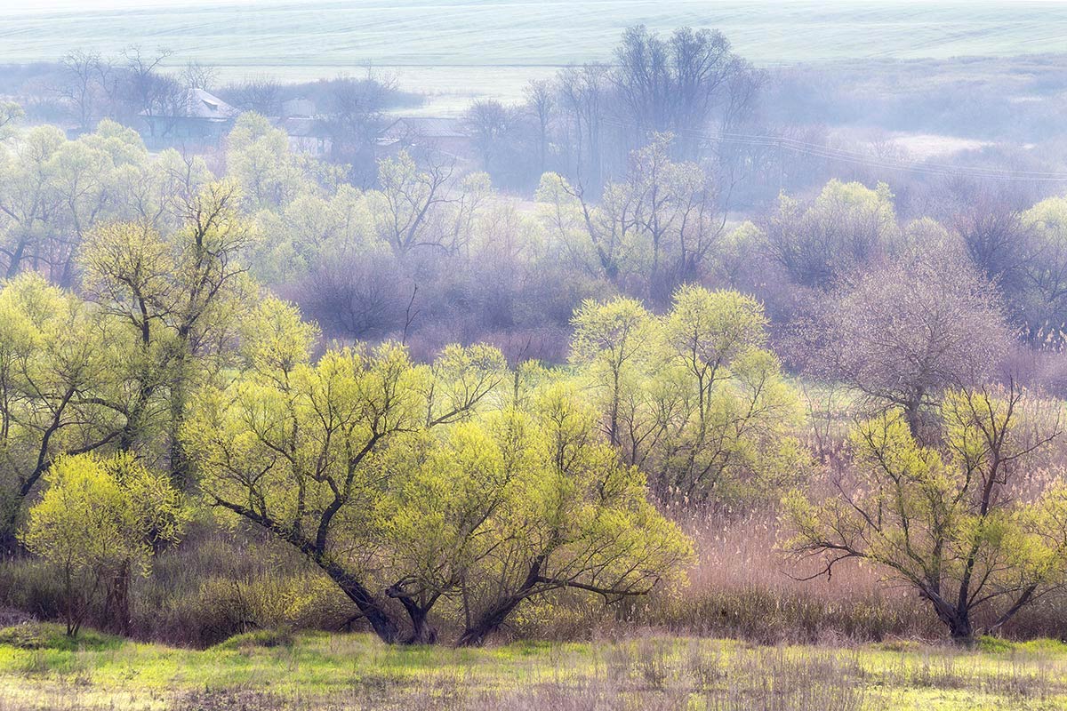Весна у хутора Груцинов
