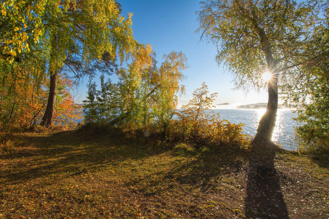 Солнечное утро