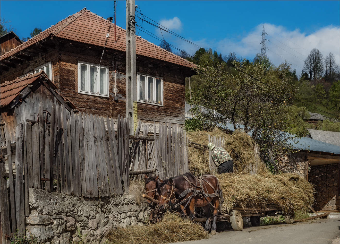 Осень в румынских Карпатах (9)