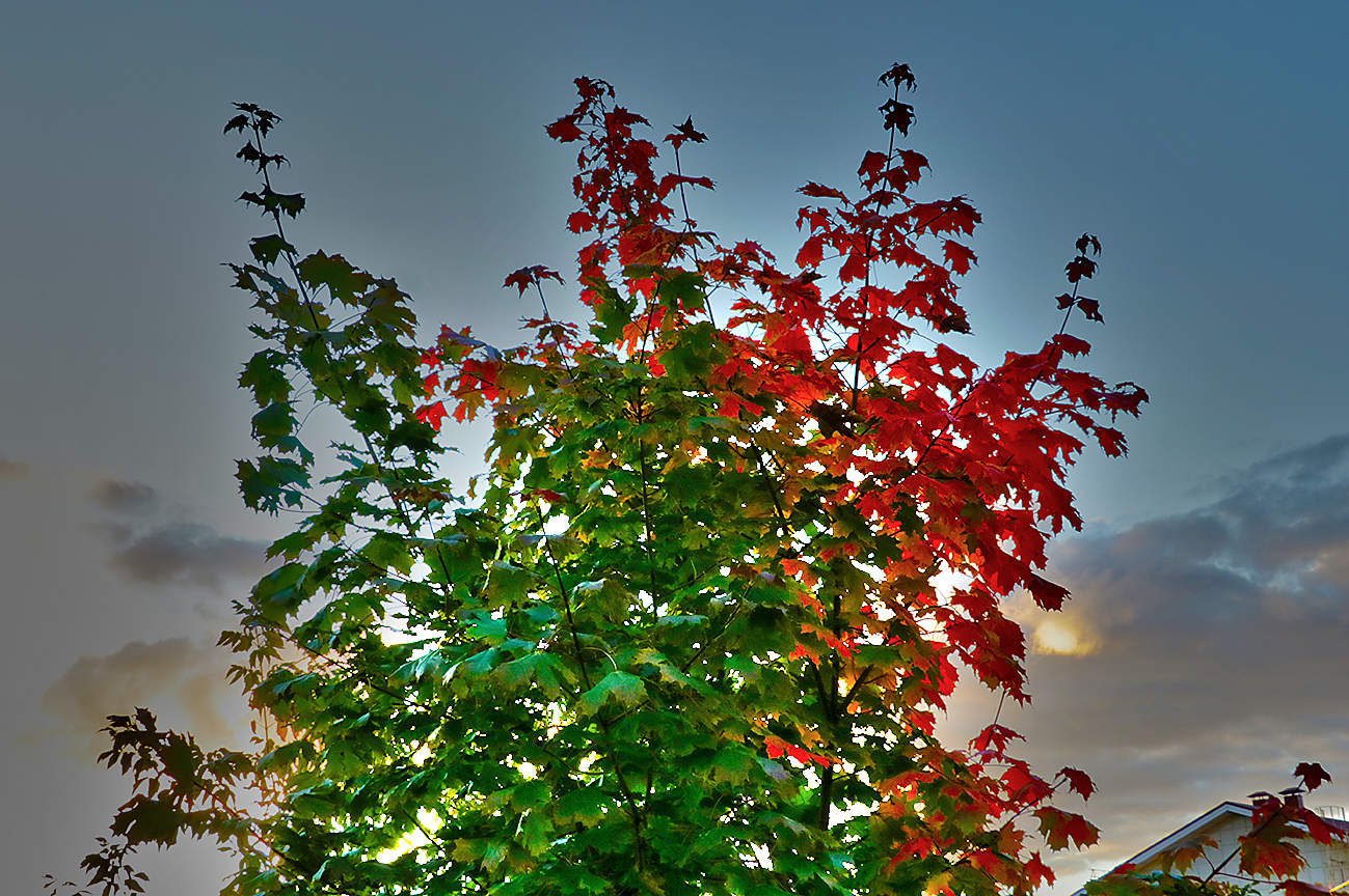 Начало осени