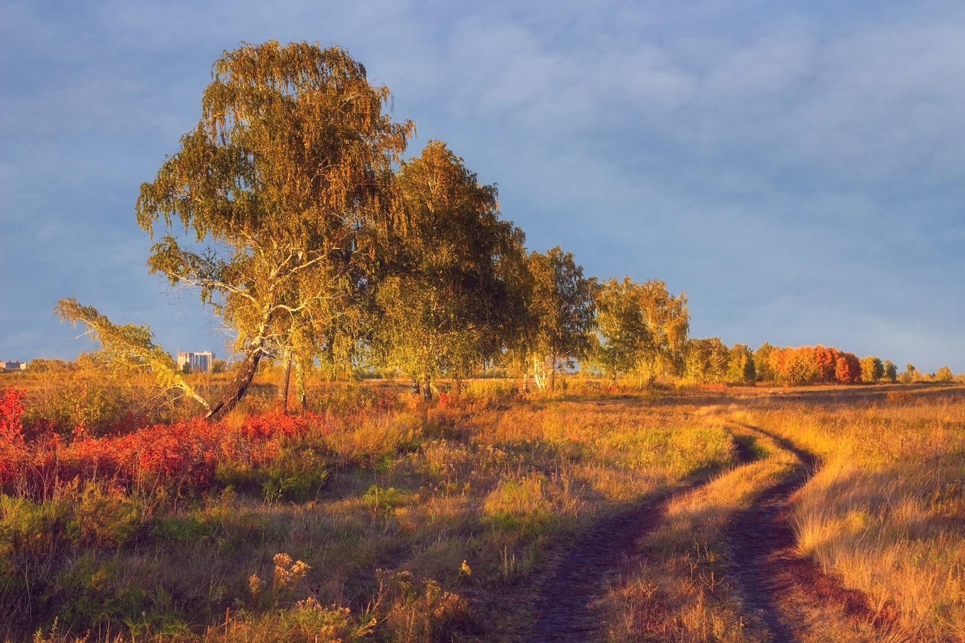 Где то за городом