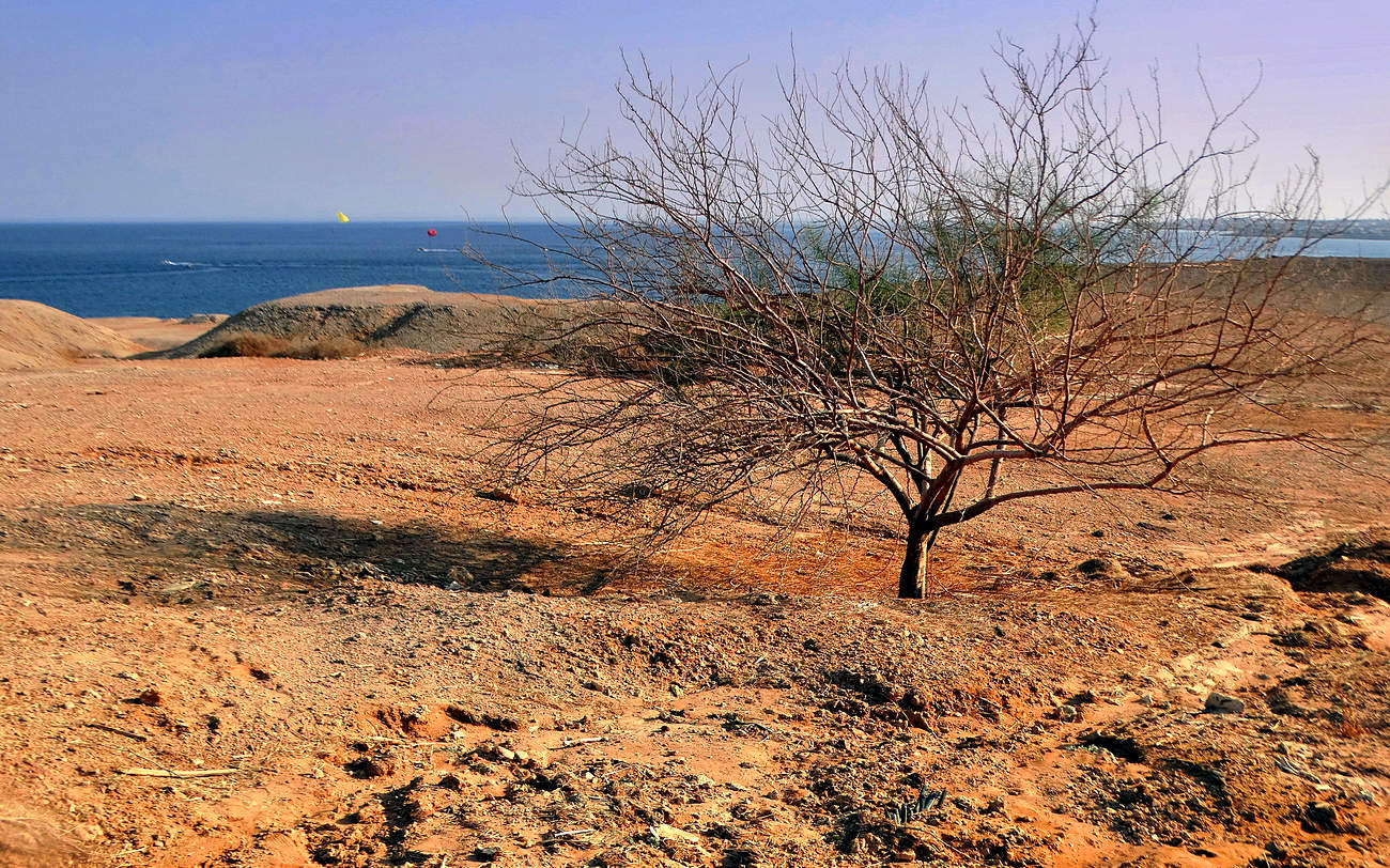 В одиночестве на пустынном берегу