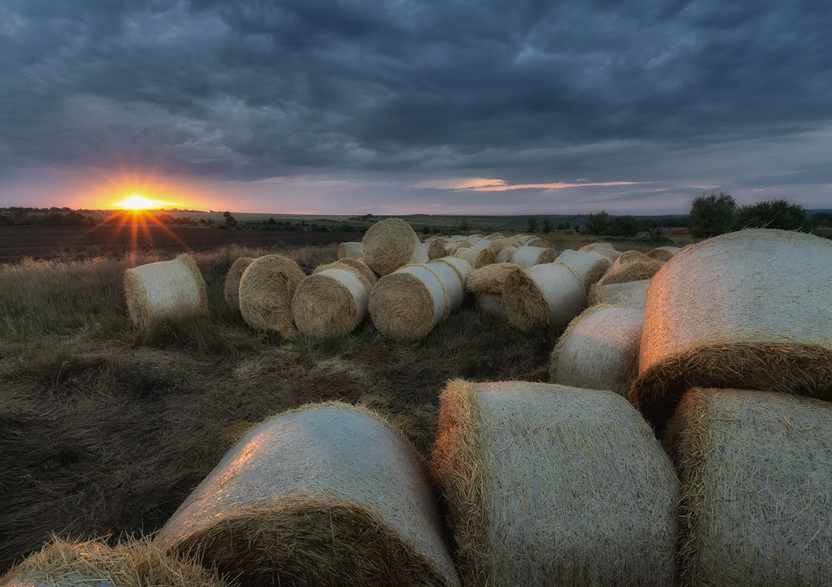 Лето прошло