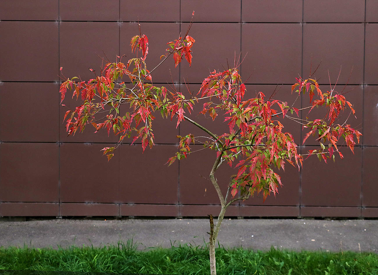 Начало осени