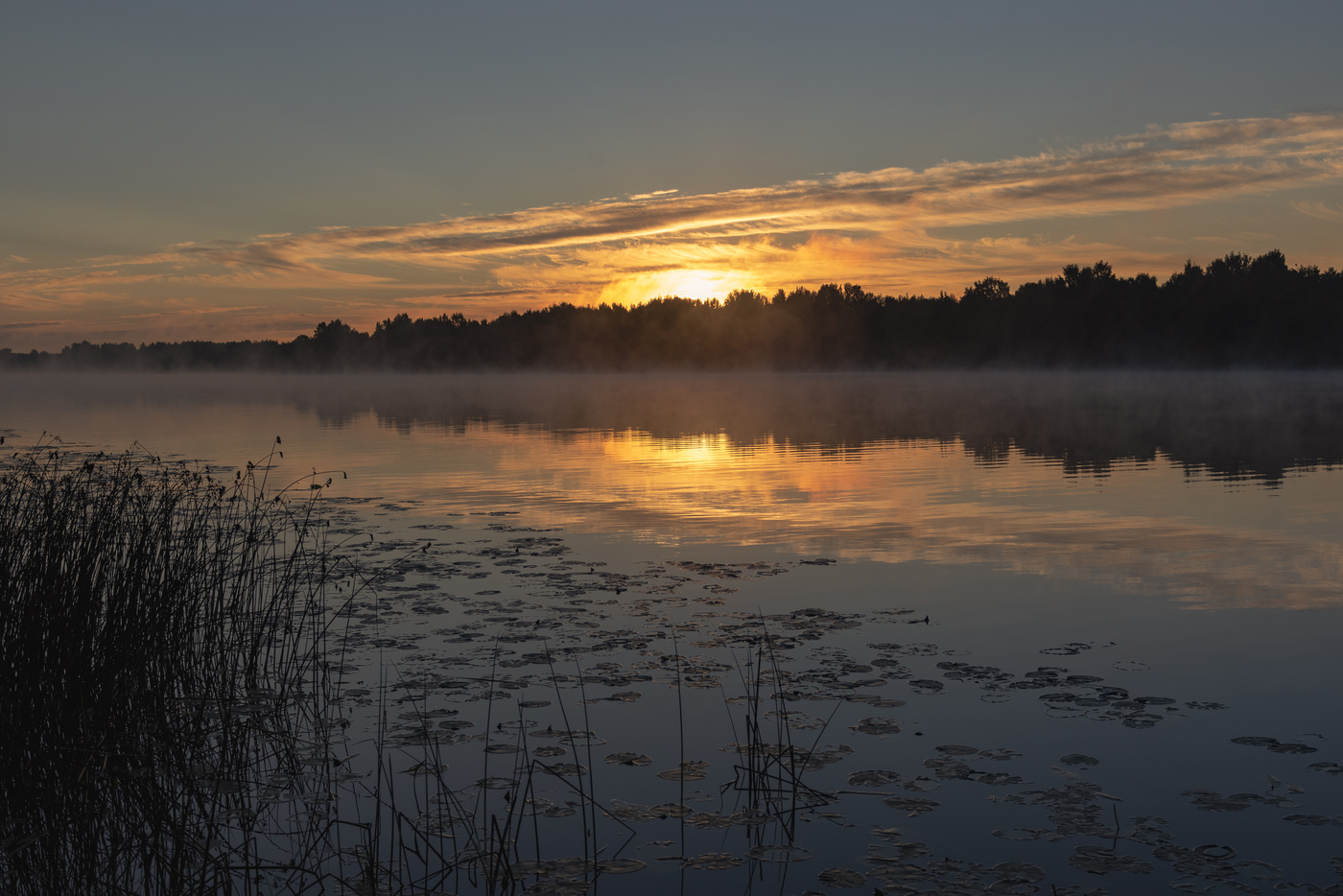 Будет теплый день