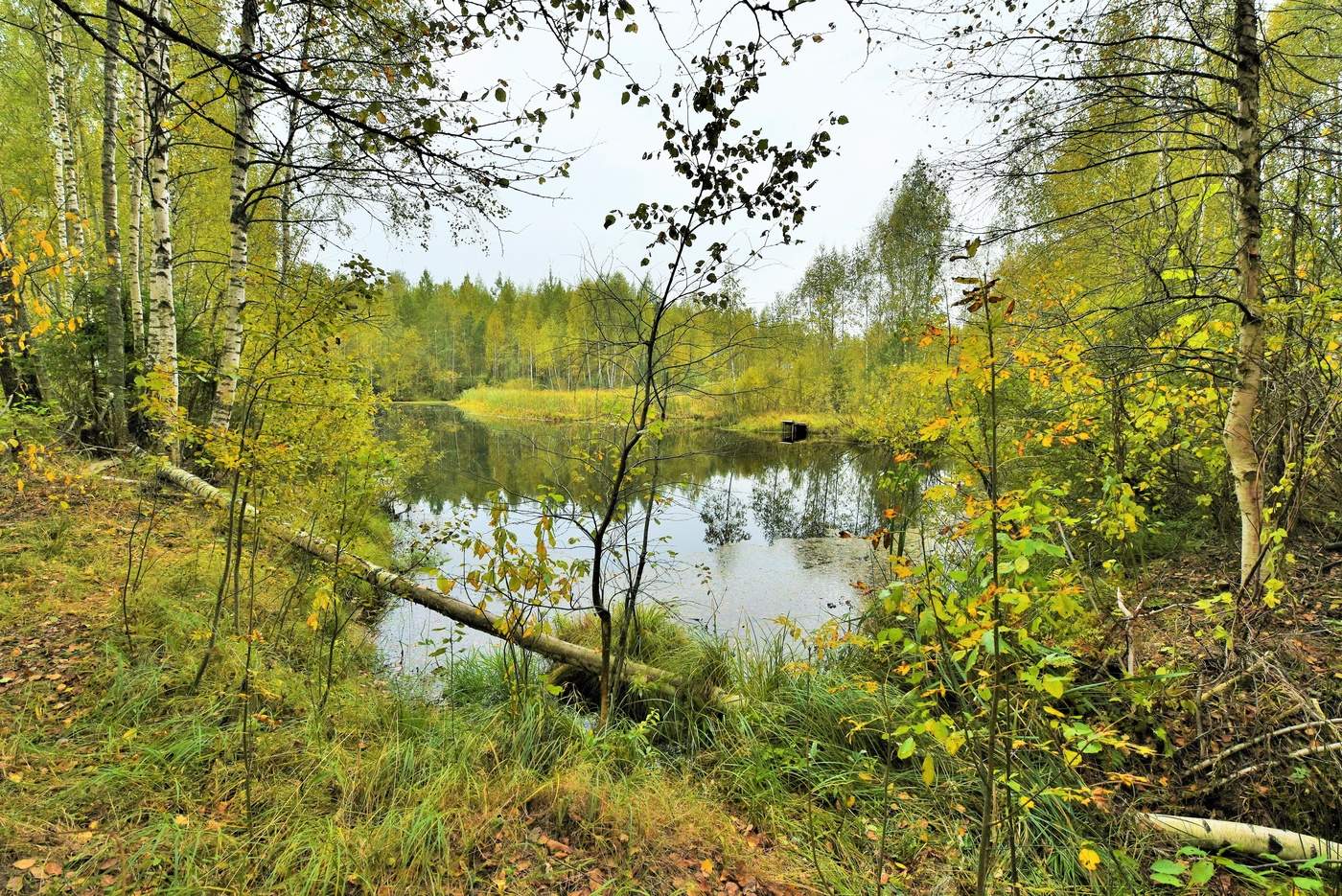 Осенний этюд ...