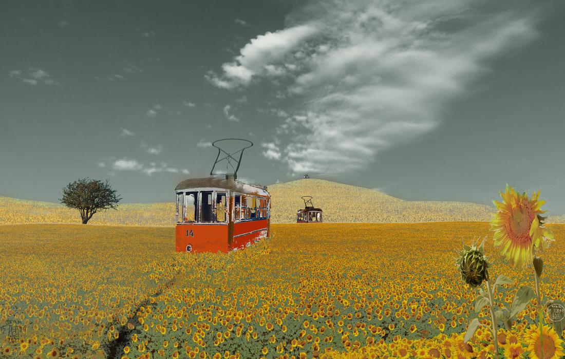 ой поля-я-я-!!!