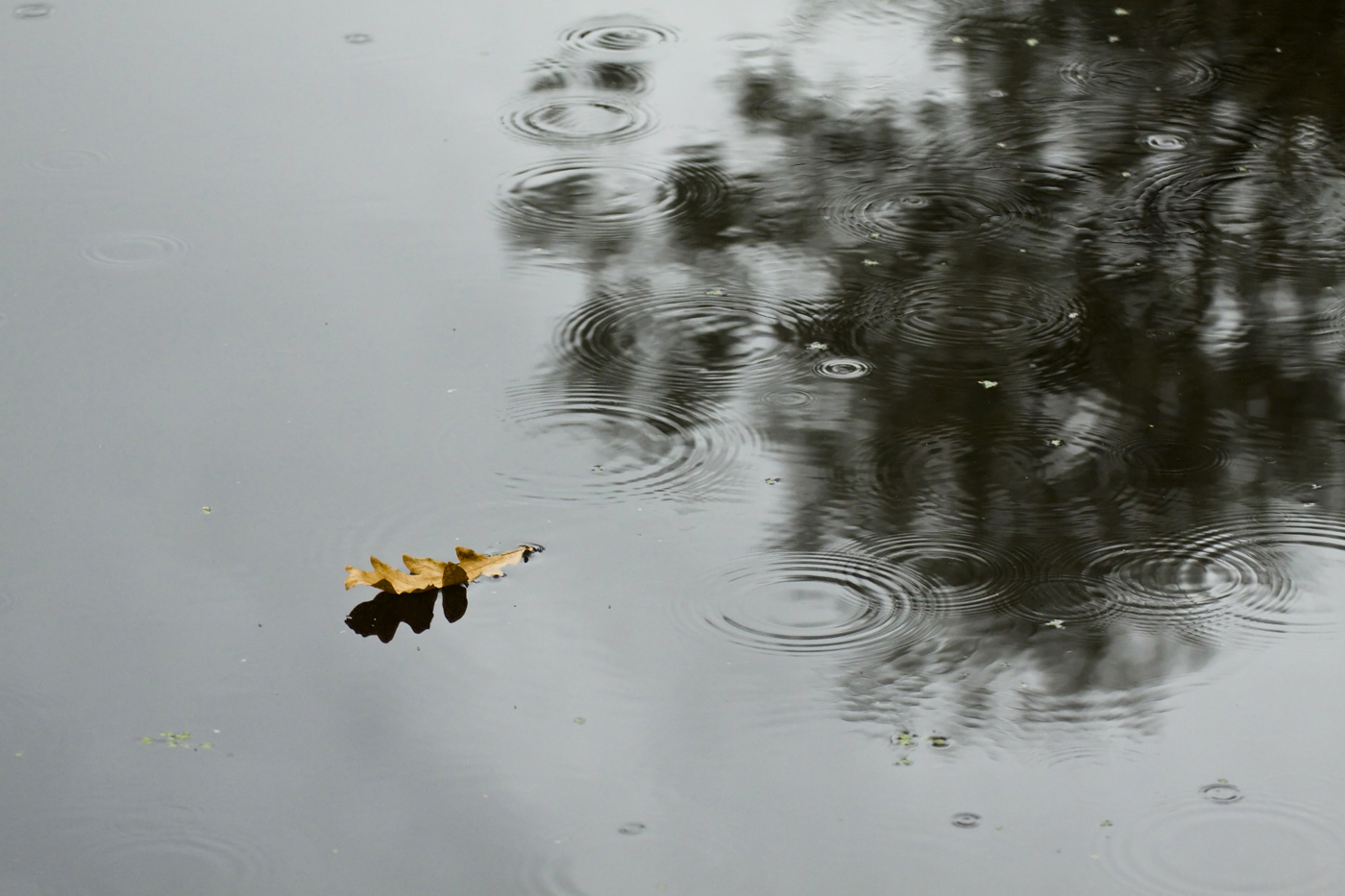 Состояние-2