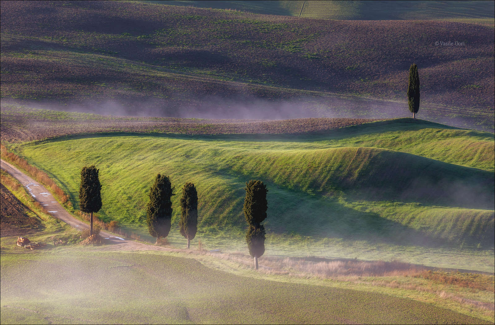 Стелется дымка меж кипарисов...