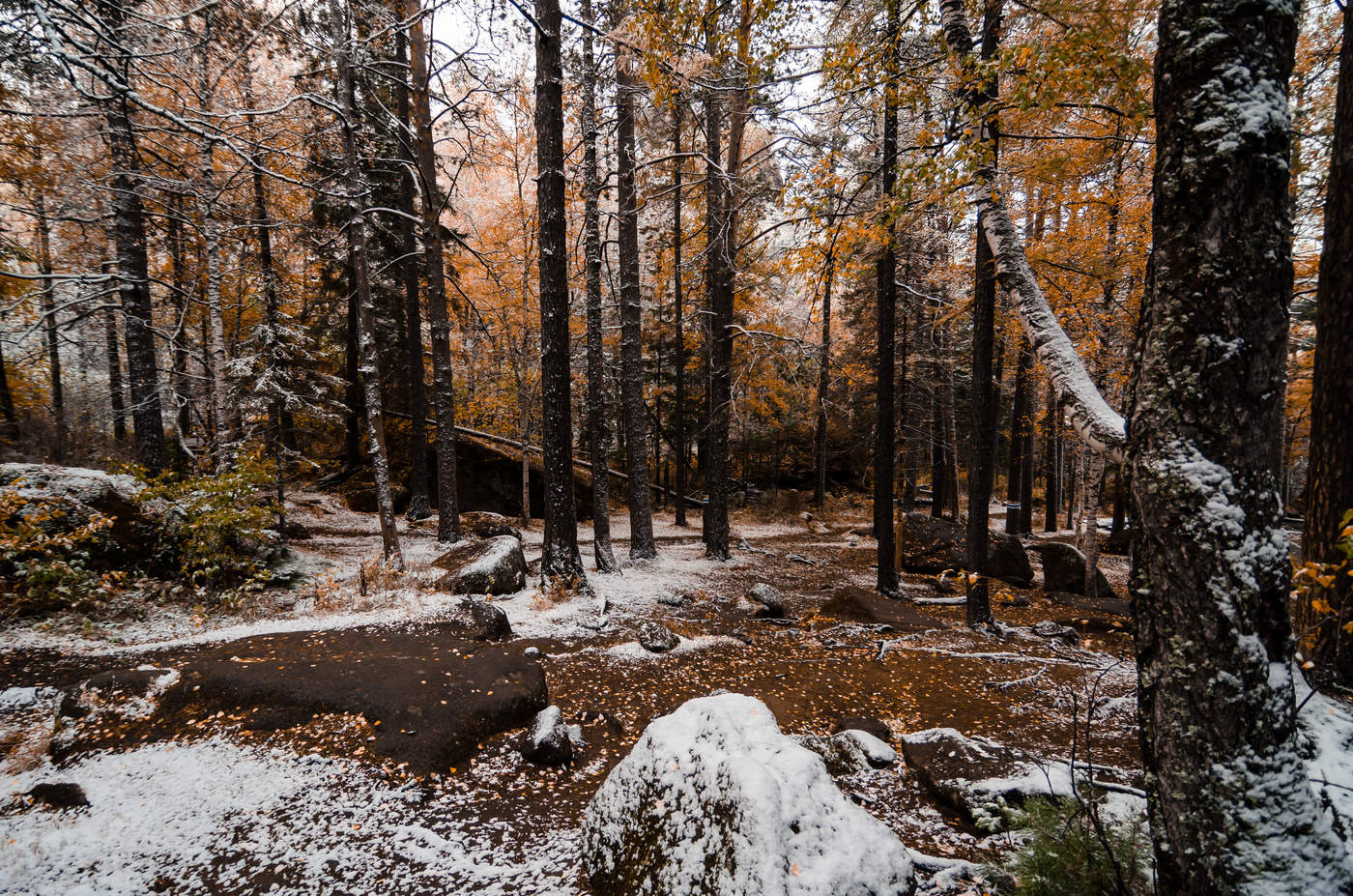 Национальный парк «Красноярские Столбы»