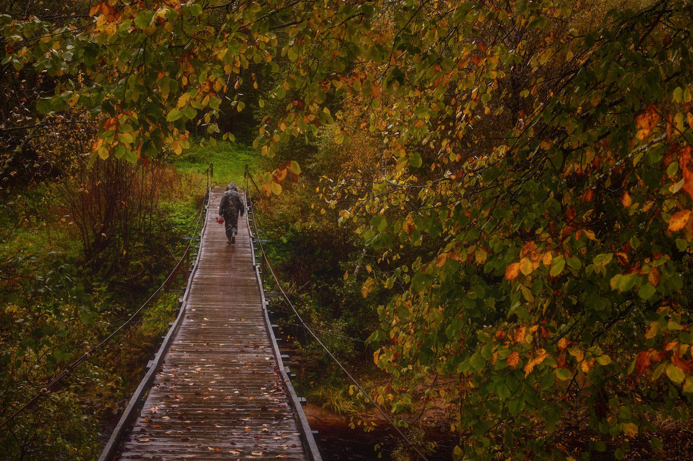 Жизнь вокруг