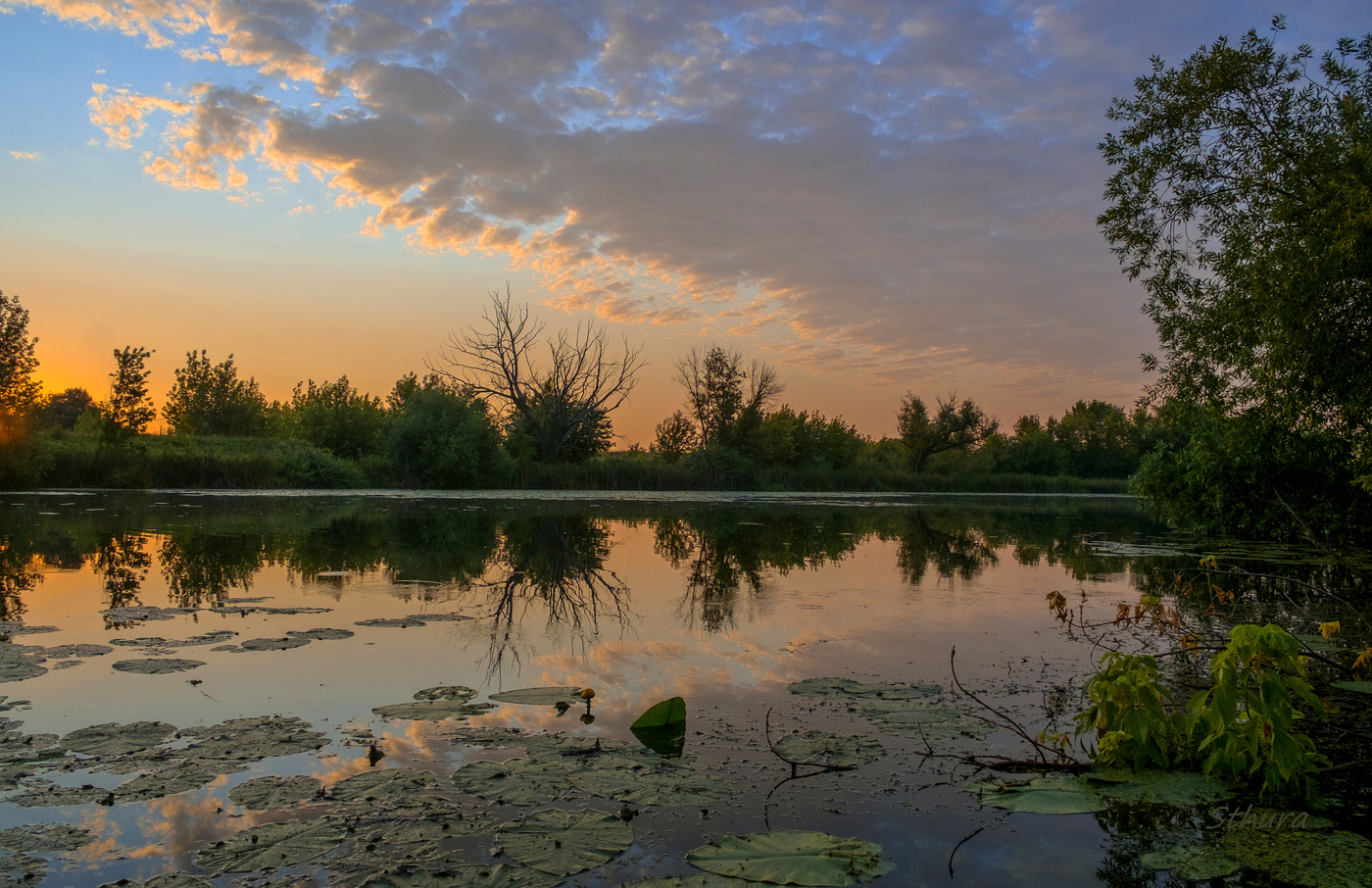 Утренний пейзаж.