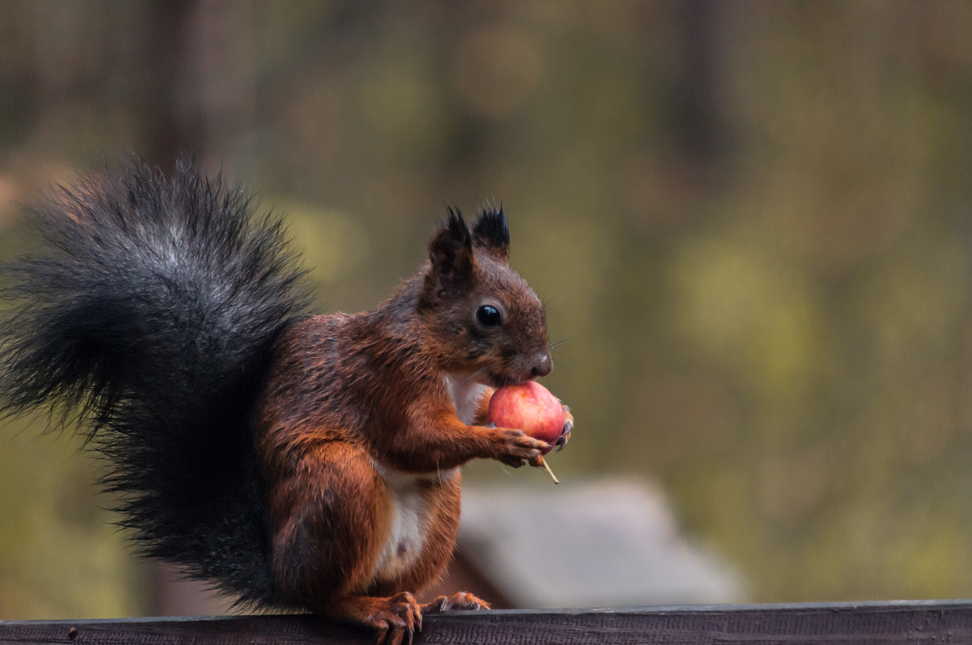 Утренняя трапеза.