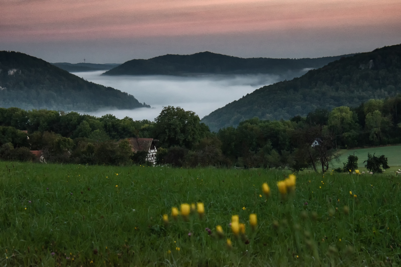 Frühmorgens auf der Franken Alb