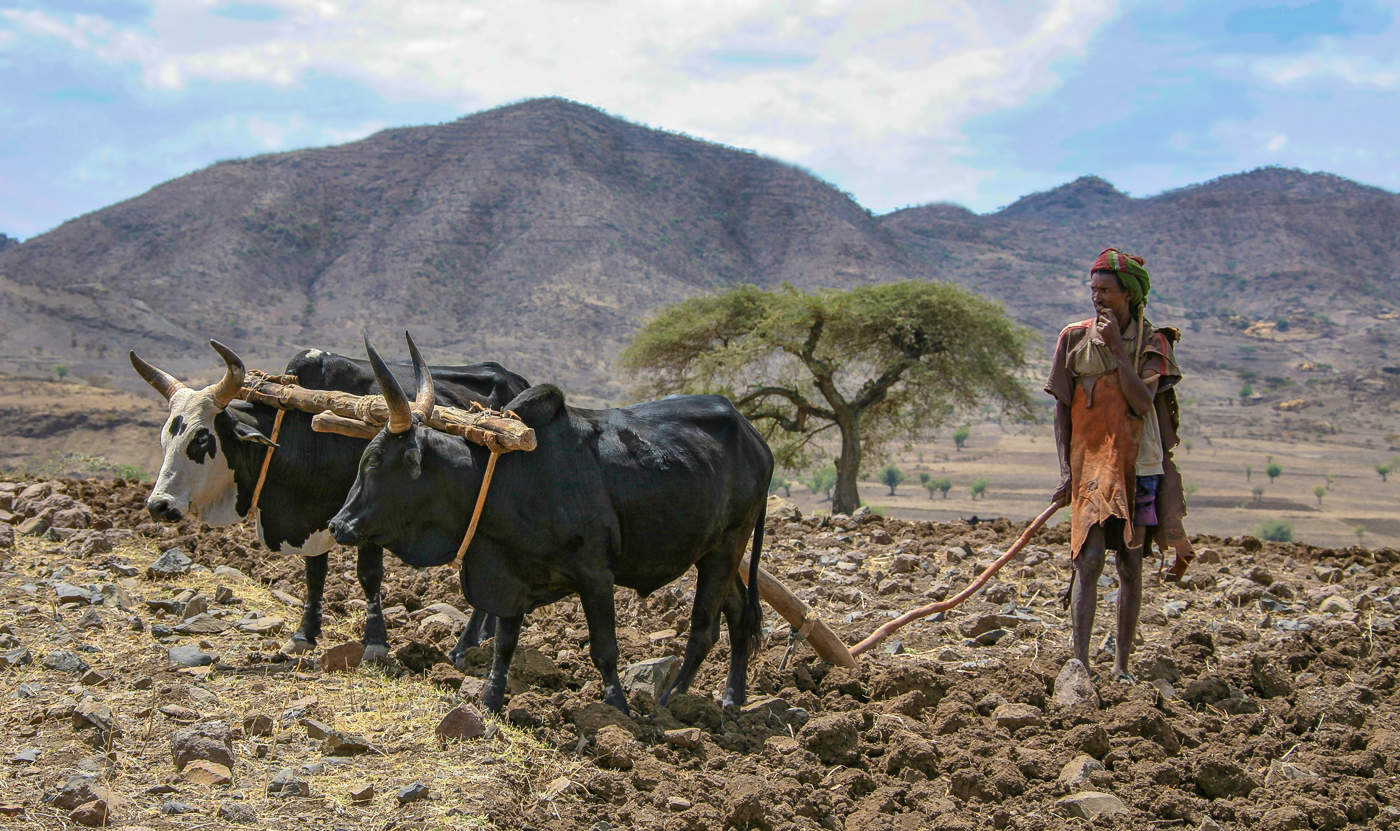 ... солнце еще высоко