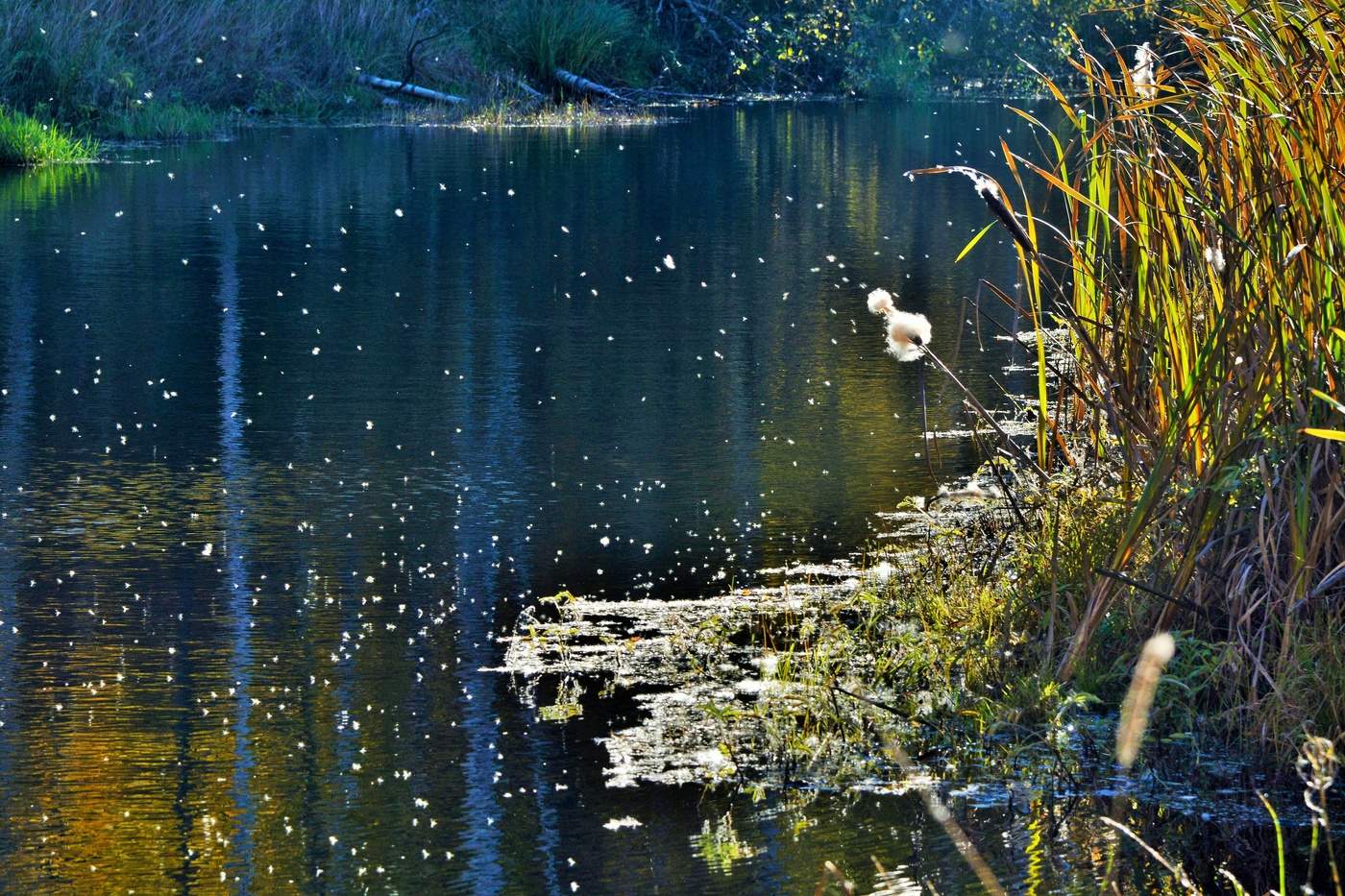 Осенний этюд ...