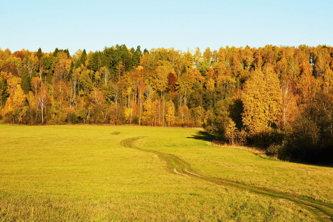 Погожий день ...