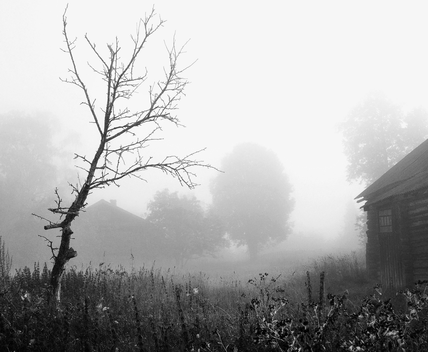 Неприветливое утро ...