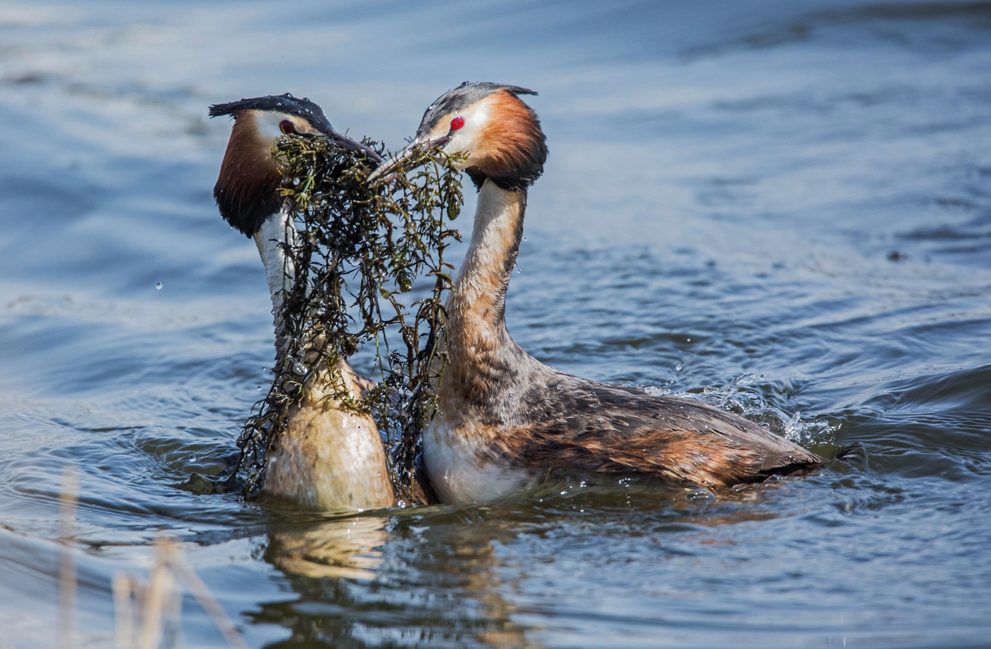 Свадебный подарок