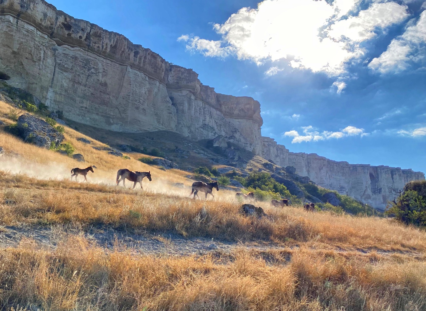 Белая скала.
