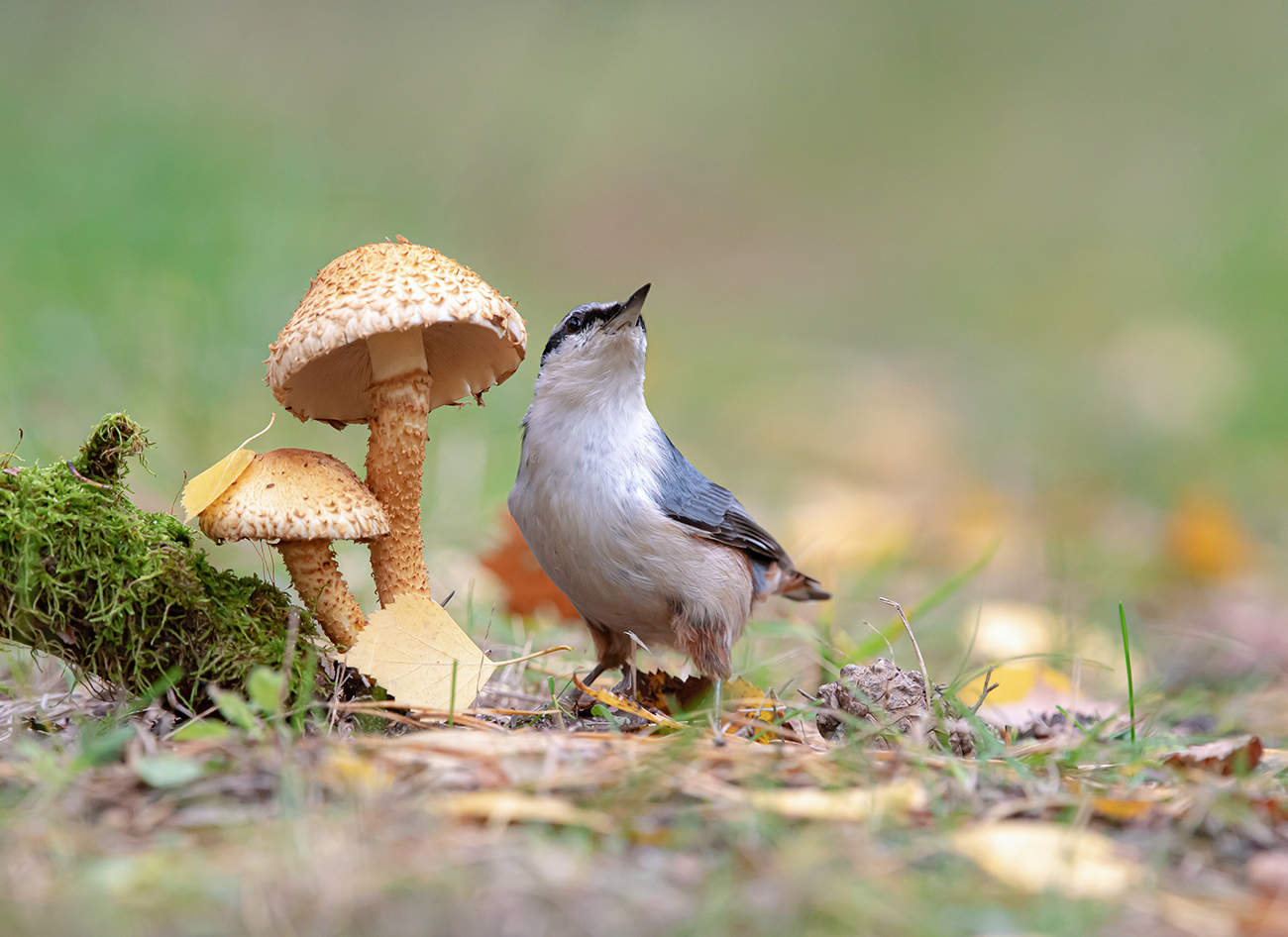 Снимай пока в образе