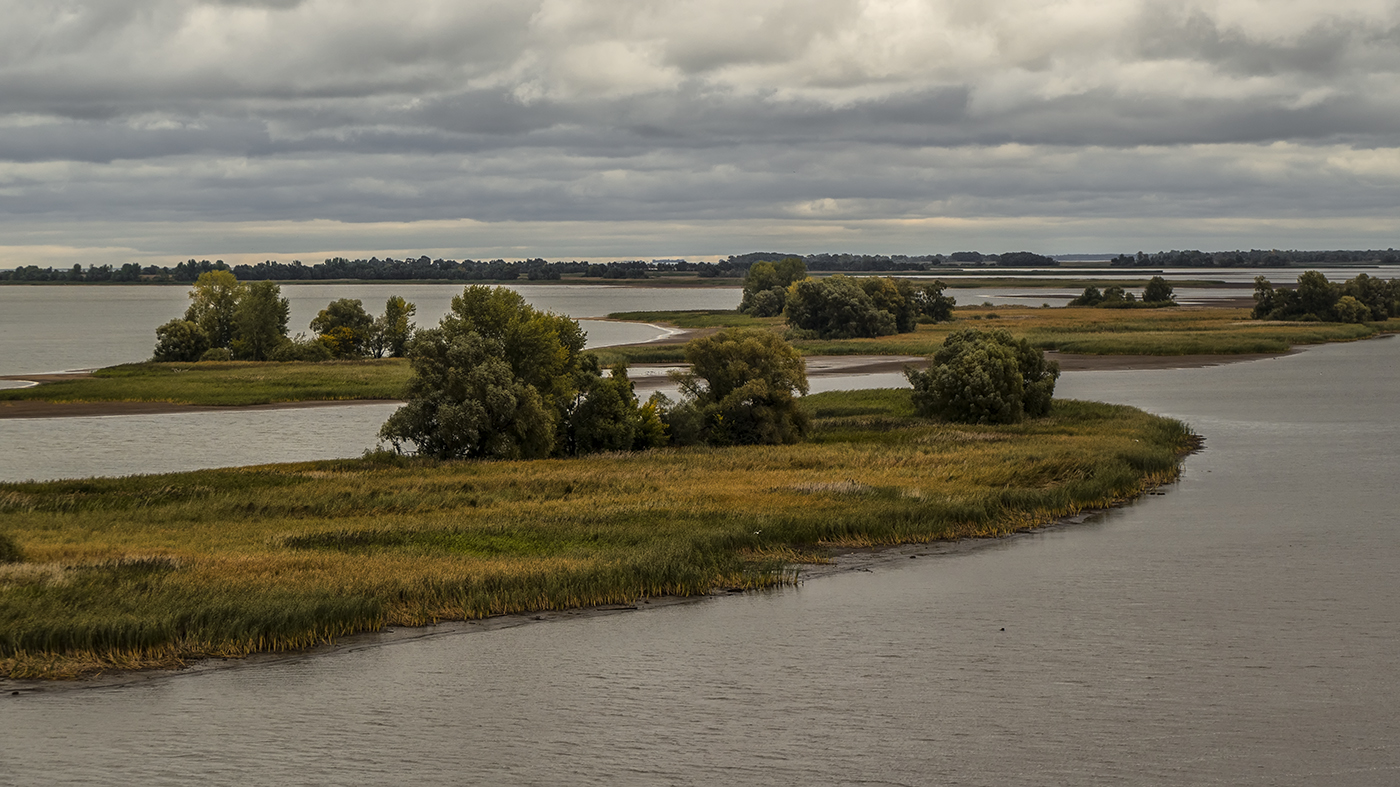 Между дождей