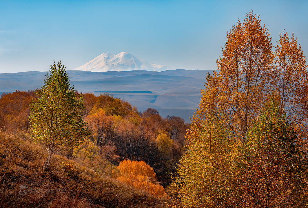 Вид с Кисловодского парка