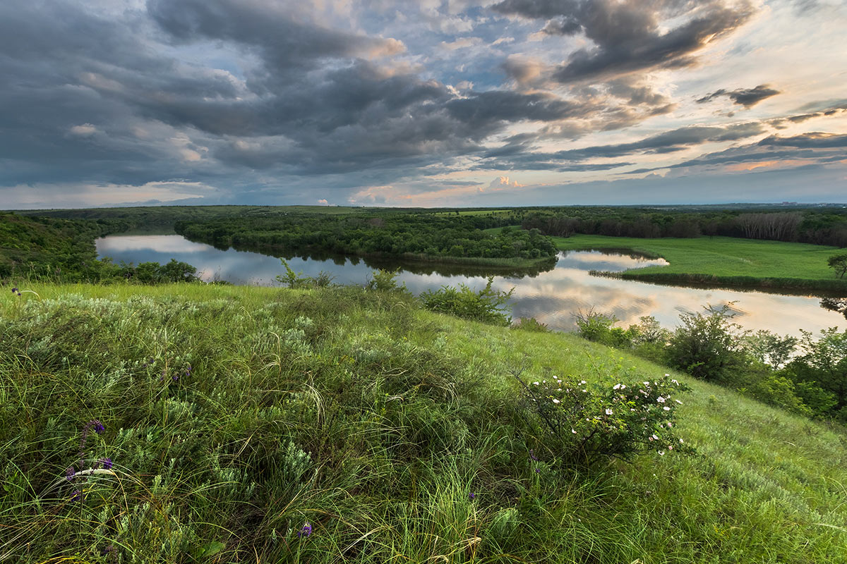 Донец у Кривого рога
