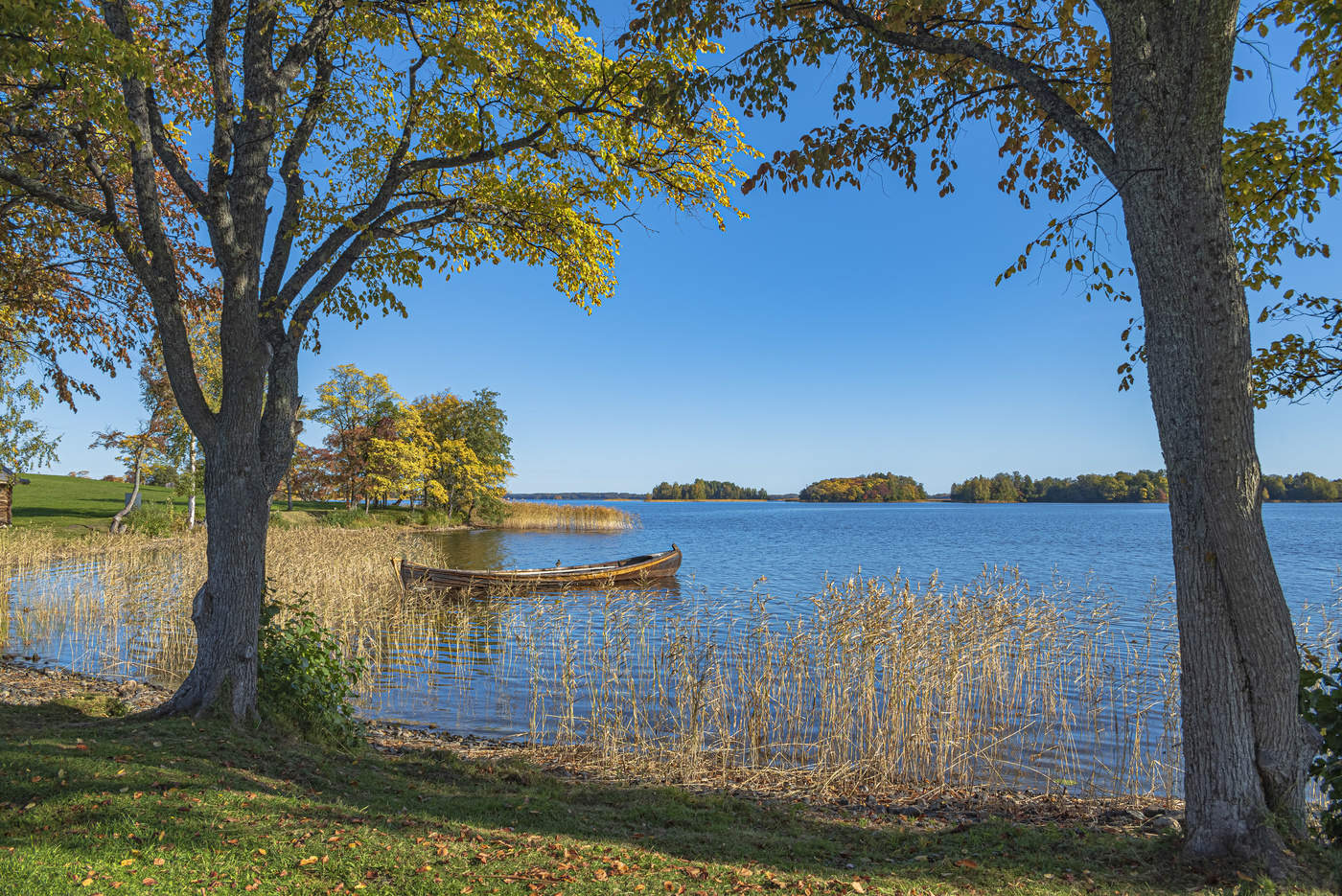 Онежская осень
