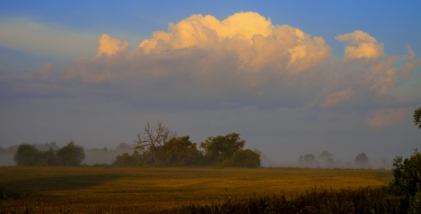 Утро в поле.