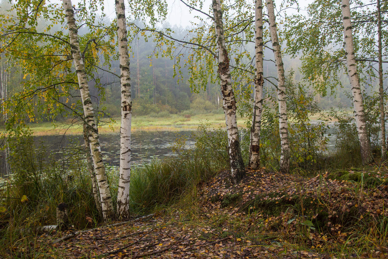Признаки осени. Суходол.