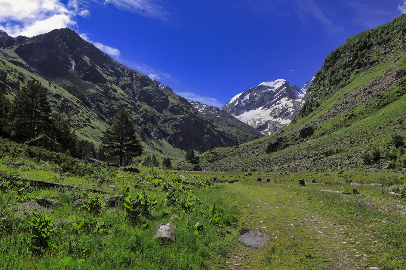 Кичкинекол