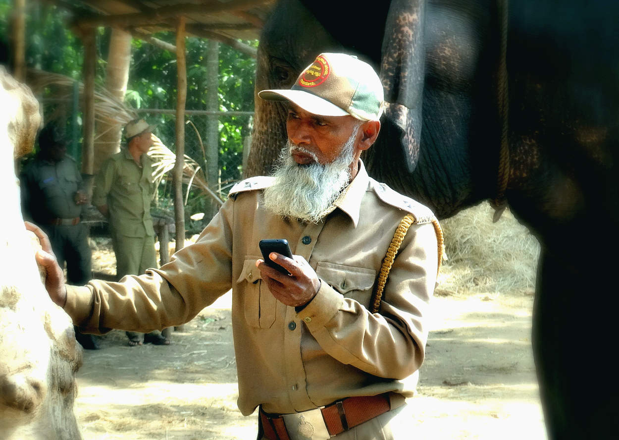 Окладистая борода